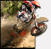 pitbike3.gif